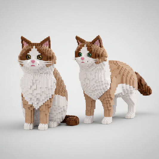 2 in 1 Ragdoll Katze Bausteinset