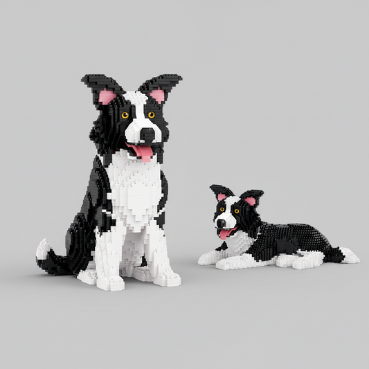 2 in 1 Border Collie Bausteinset